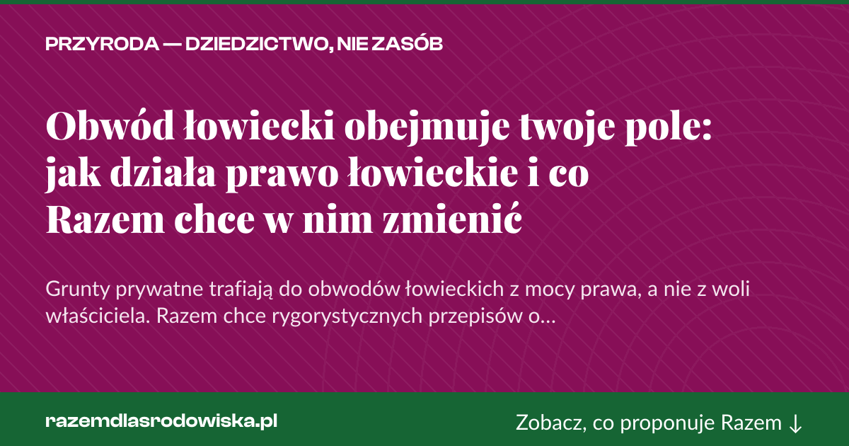 Karta social do udostępnienia: Obwód łowiecki obejmuje twoje pole: jak działa prawo łowieckie i co Razem chce w nim zmienić