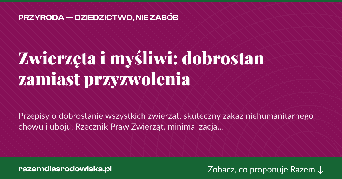 Karta social do udostępnienia: Zwierzęta i myśliwi: dobrostan zamiast przyzwolenia