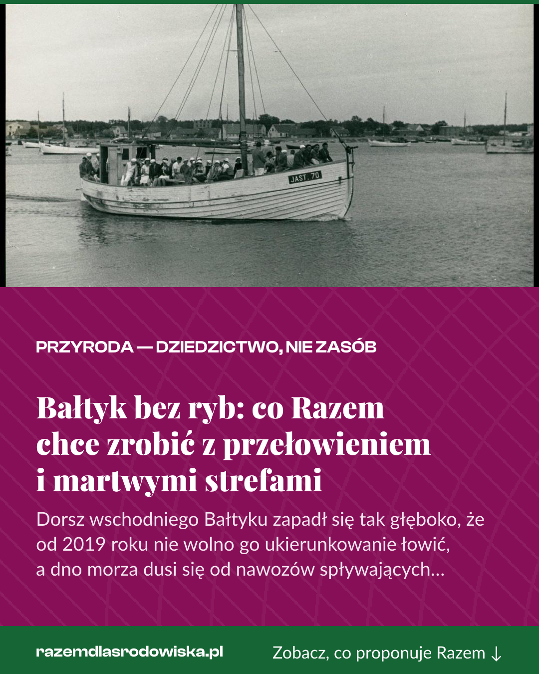 Grafika pionowa do udostępnienia: Bałtyk bez ryb: co Razem chce zrobić z przełowieniem i martwymi strefami