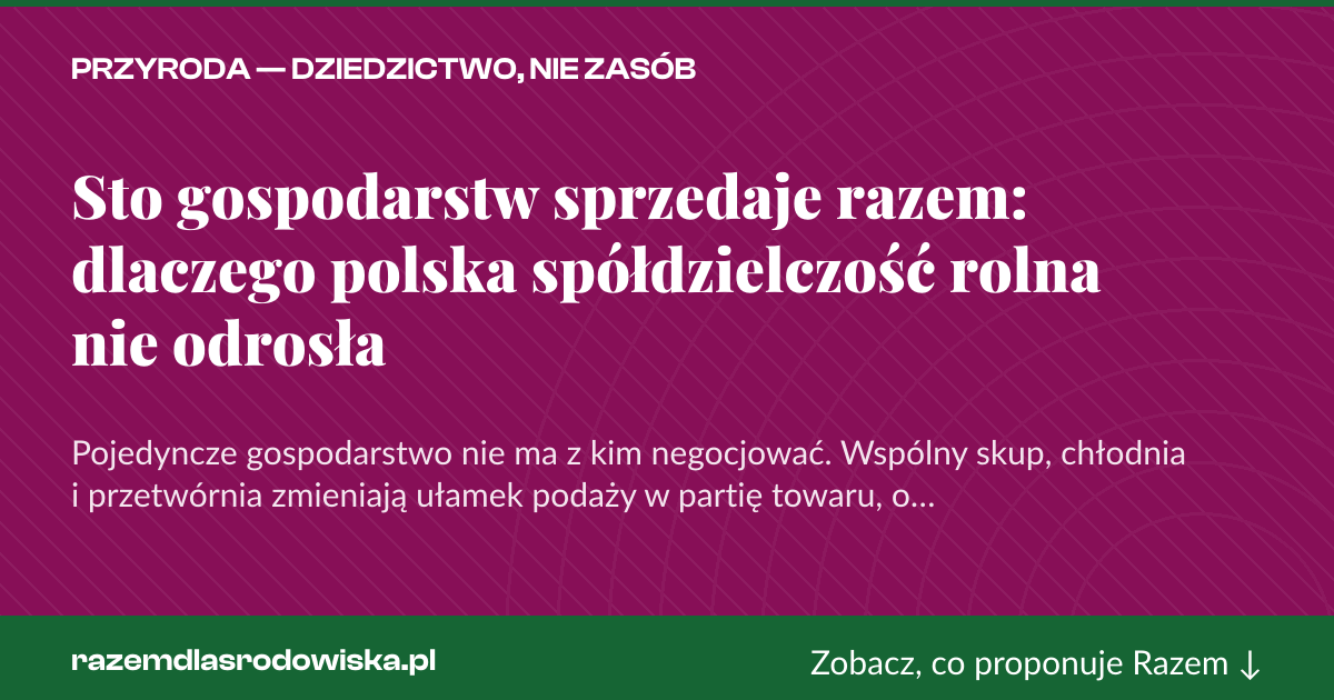 Karta social do udostępnienia: Sto gospodarstw sprzedaje razem: dlaczego polska spółdzielczość rolna nie odrosła