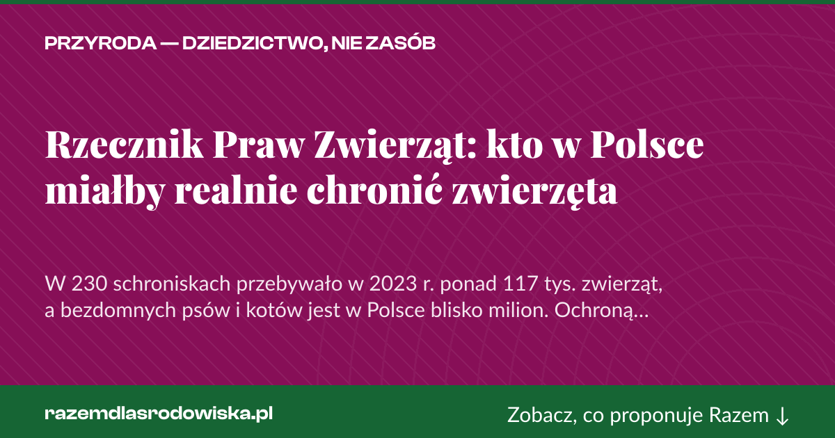 Karta social do udostępnienia: Rzecznik Praw Zwierząt: kto w Polsce miałby realnie chronić zwierzęta