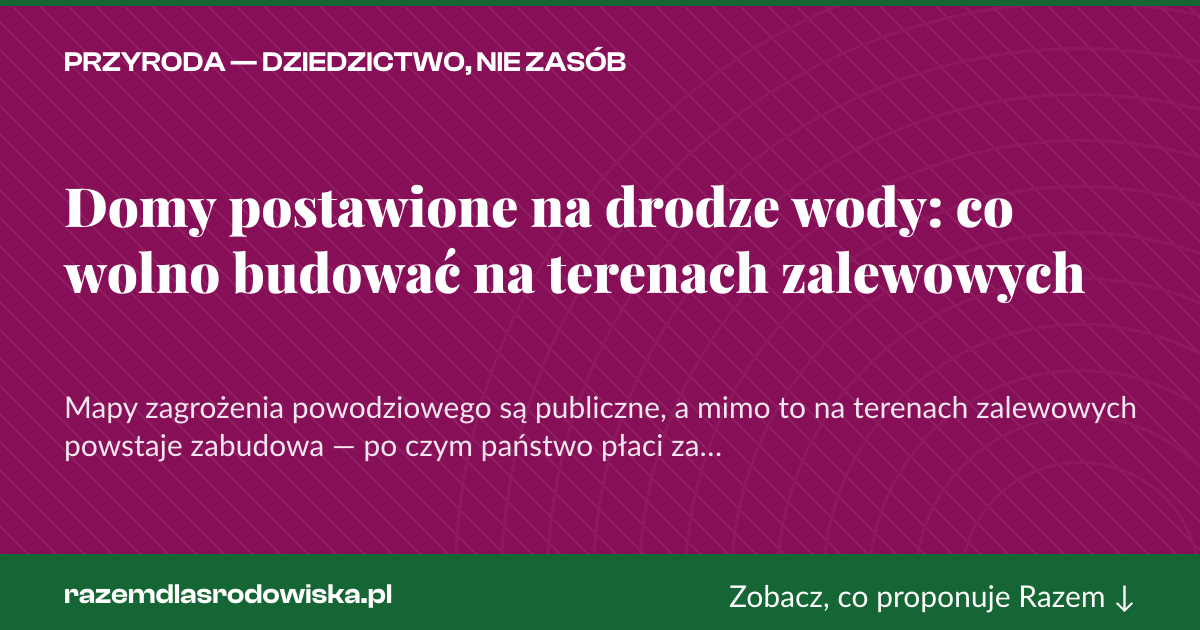 Karta social do udostępnienia: Domy postawione na drodze wody: co wolno budować na terenach zalewowych