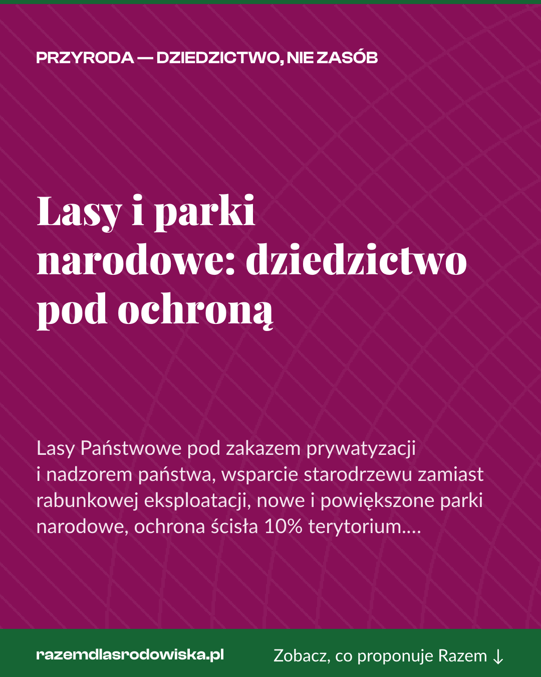 Grafika pionowa do udostępnienia: Lasy i parki narodowe: dziedzictwo pod ochroną
