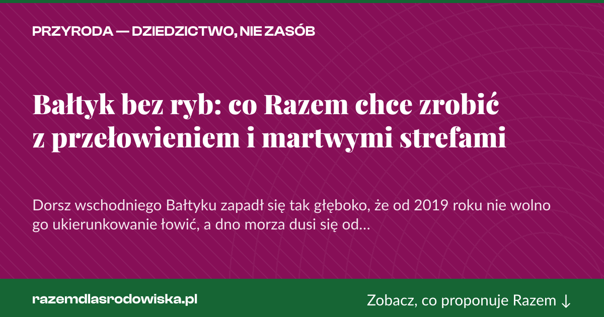 Karta social do udostępnienia: Bałtyk bez ryb: co Razem chce zrobić z przełowieniem i martwymi strefami