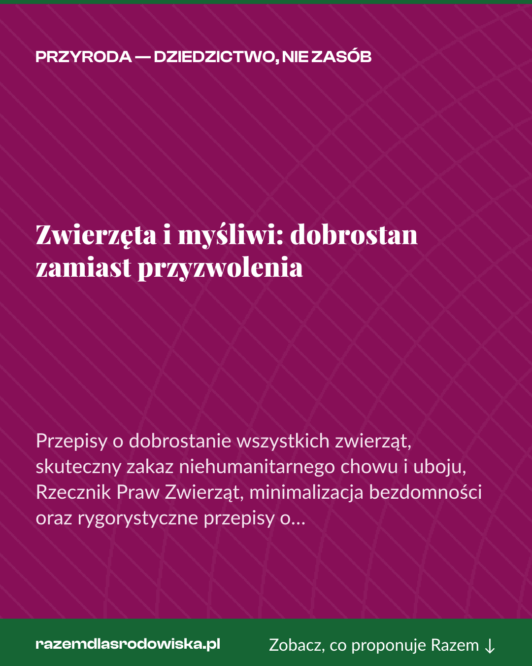 Grafika pionowa do udostępnienia: Zwierzęta i myśliwi: dobrostan zamiast przyzwolenia