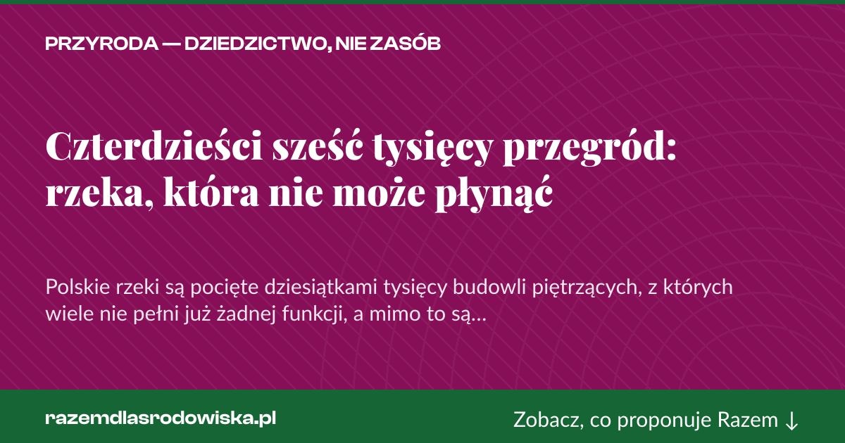 Karta social do udostępnienia: Czterdzieści sześć tysięcy przegród: rzeka, która nie może płynąć