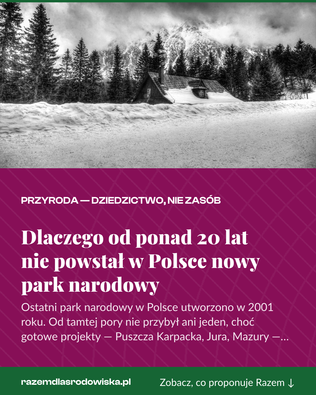 Grafika pionowa do udostępnienia: Dlaczego od ponad 20 lat nie powstał w Polsce nowy park narodowy