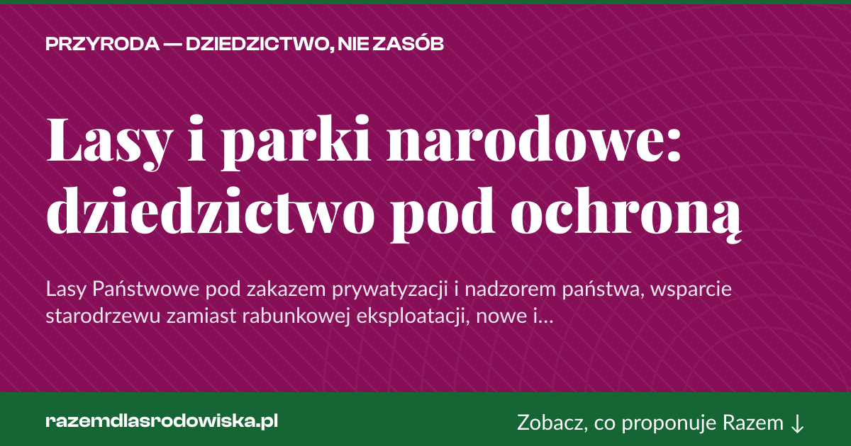 Karta social do udostępnienia: Lasy i parki narodowe: dziedzictwo pod ochroną