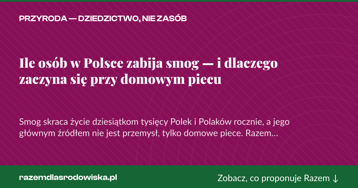 Karta social do udostępnienia: Ile osób w Polsce zabija smog — i dlaczego zaczyna się przy domowym piecu