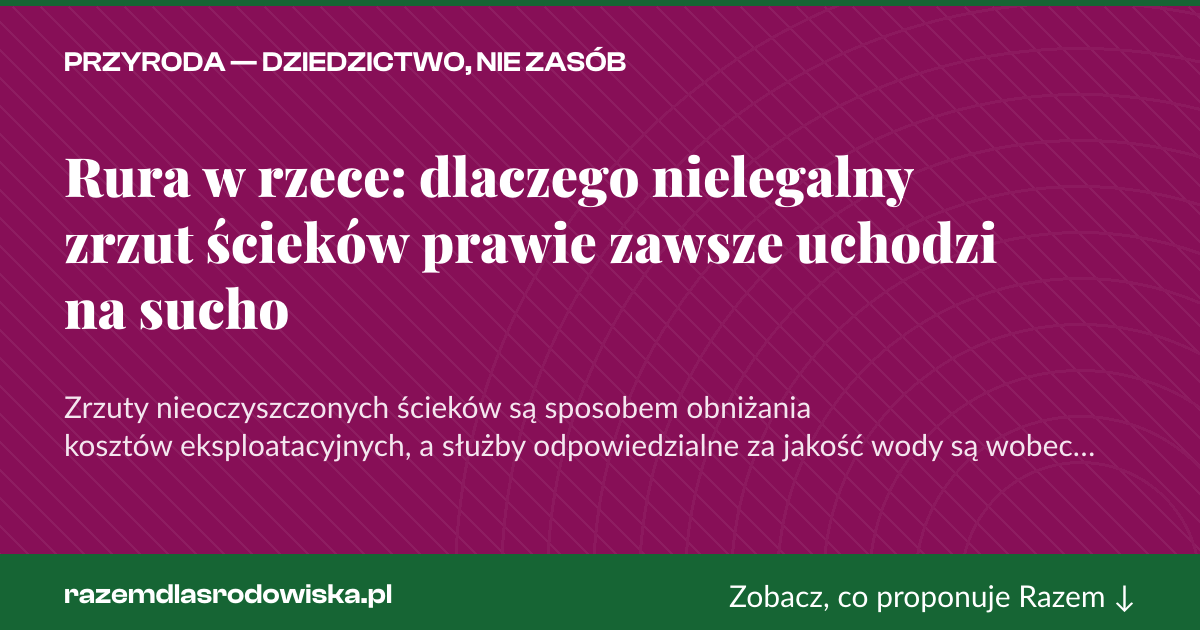 Karta social do udostępnienia: Rura w rzece: dlaczego nielegalny zrzut ścieków prawie zawsze uchodzi na sucho