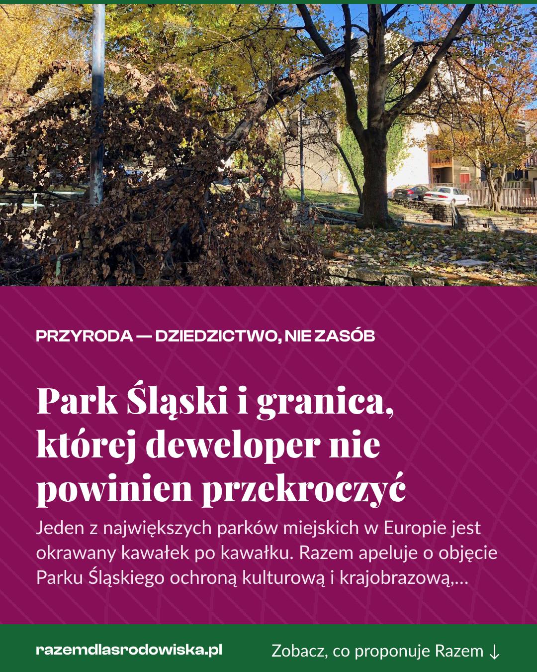 Grafika pionowa do udostępnienia: Park Śląski i granica, której deweloper nie powinien przekroczyć
