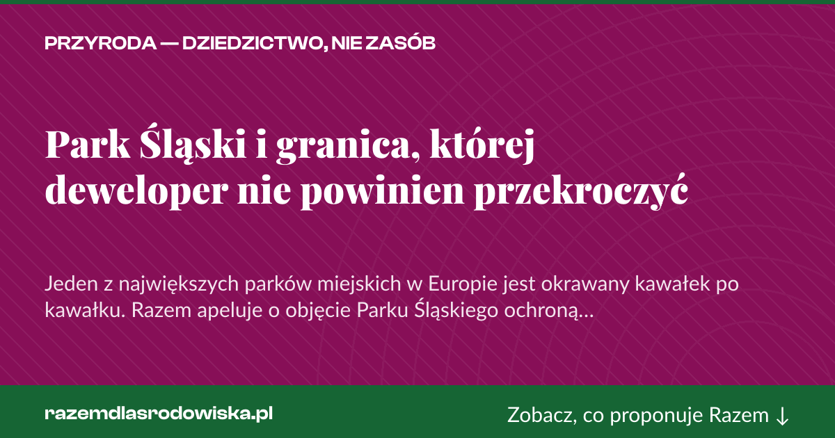 Karta social do udostępnienia: Park Śląski i granica, której deweloper nie powinien przekroczyć