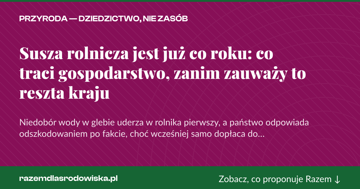 Karta social do udostępnienia: Susza rolnicza jest już co roku: co traci gospodarstwo, zanim zauważy to reszta kraju