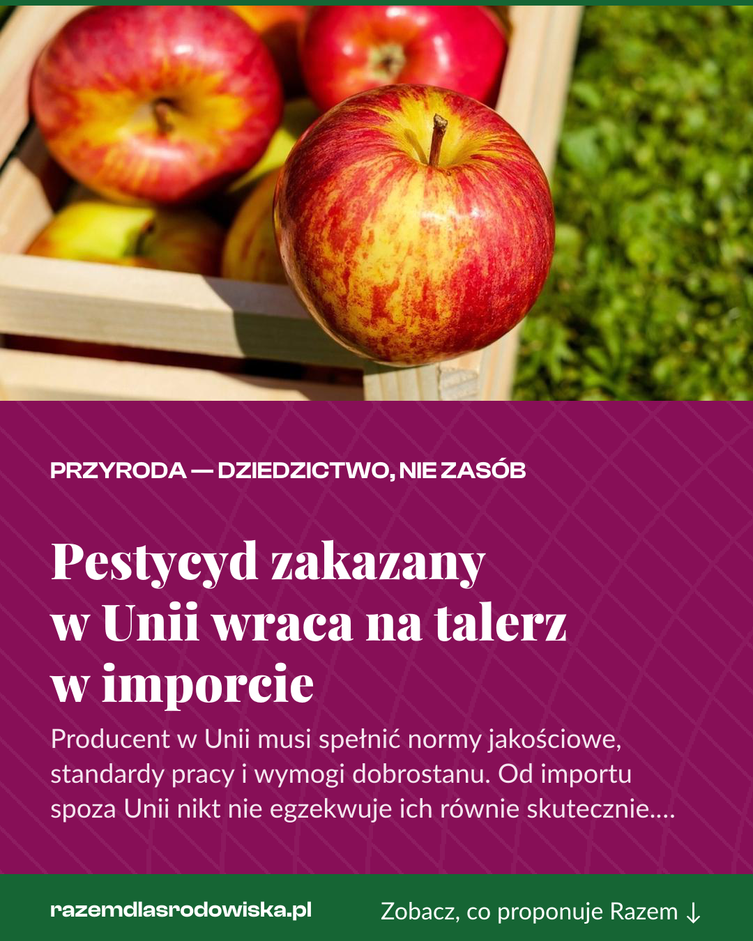 Grafika pionowa do udostępnienia: Pestycyd zakazany w Unii wraca na talerz w imporcie