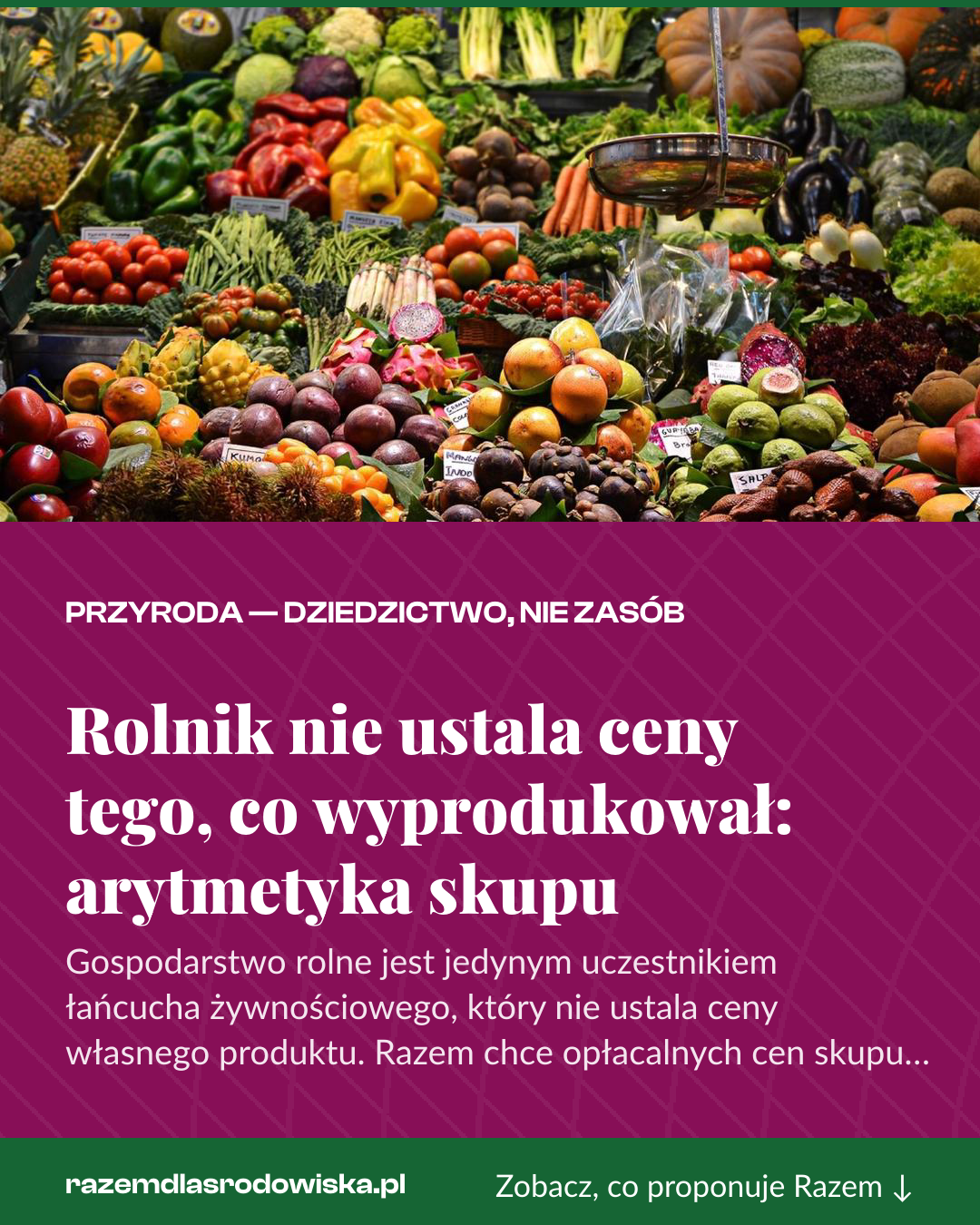 Grafika pionowa do udostępnienia: Rolnik nie ustala ceny tego, co wyprodukował: arytmetyka skupu