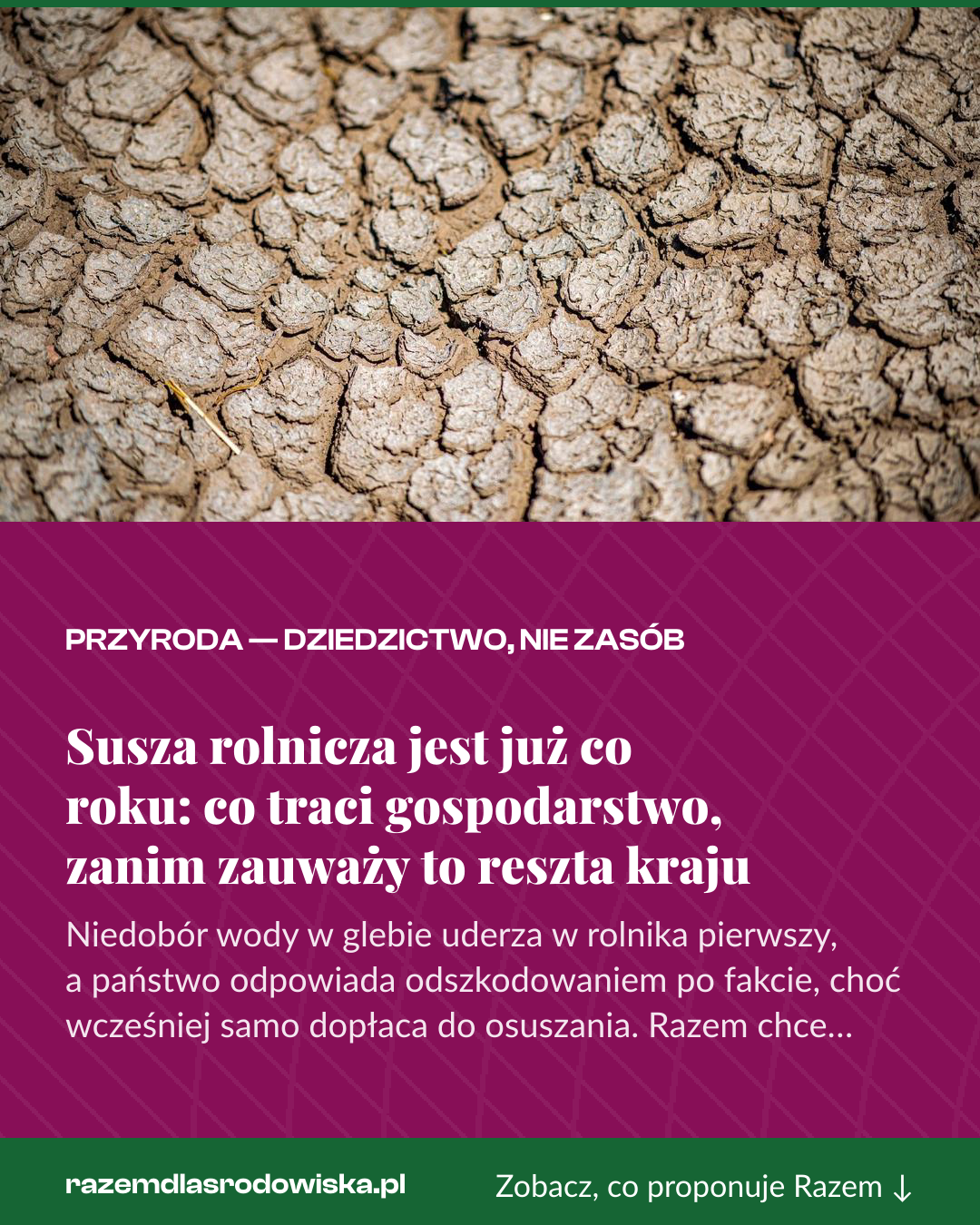 Grafika pionowa do udostępnienia: Susza rolnicza jest już co roku: co traci gospodarstwo, zanim zauważy to reszta kraju