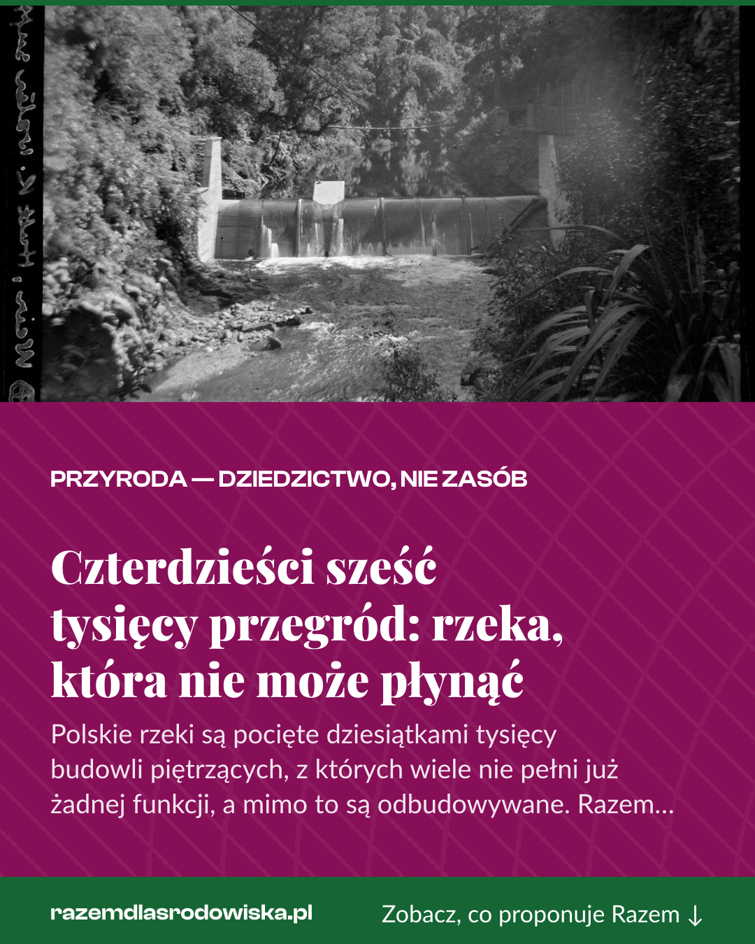 Grafika pionowa do udostępnienia: Czterdzieści sześć tysięcy przegród: rzeka, która nie może płynąć