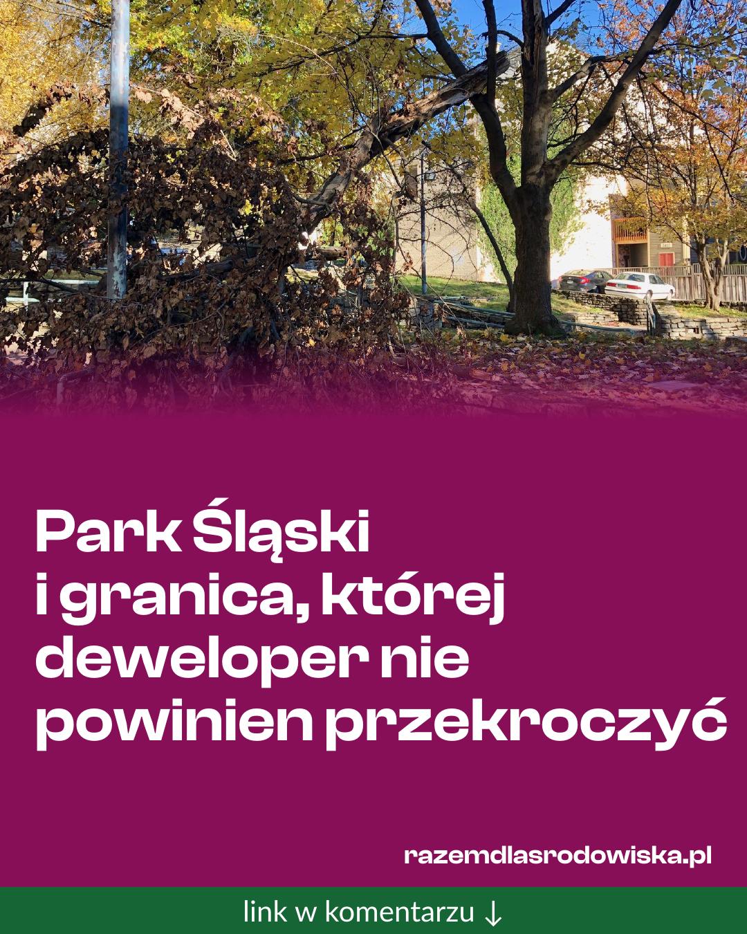 Grafika do udostępnienia: Park Śląski i granica, której deweloper nie powinien przekroczyć