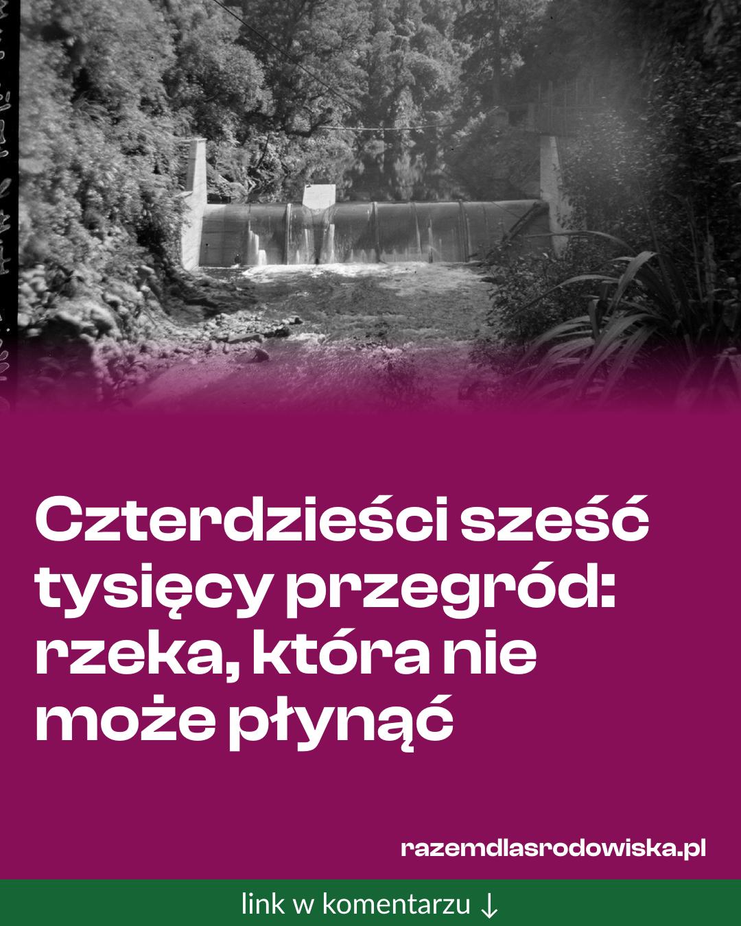 Grafika do udostępnienia: Czterdzieści sześć tysięcy przegród: rzeka, która nie może płynąć