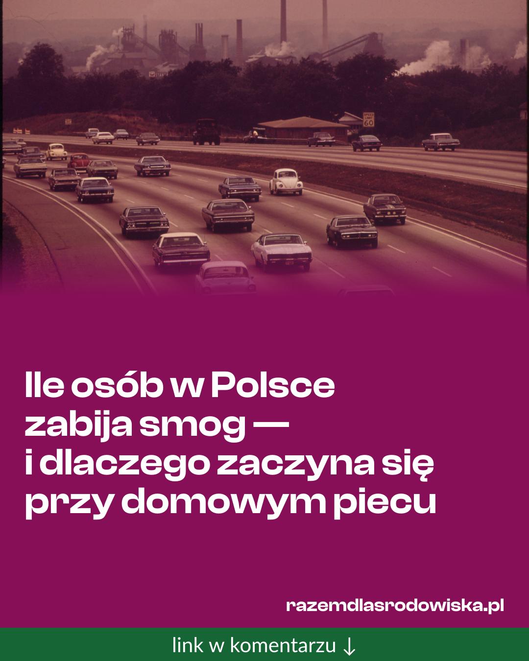 Grafika do udostępnienia: Ile osób w Polsce zabija smog — i dlaczego zaczyna się przy domowym piecu