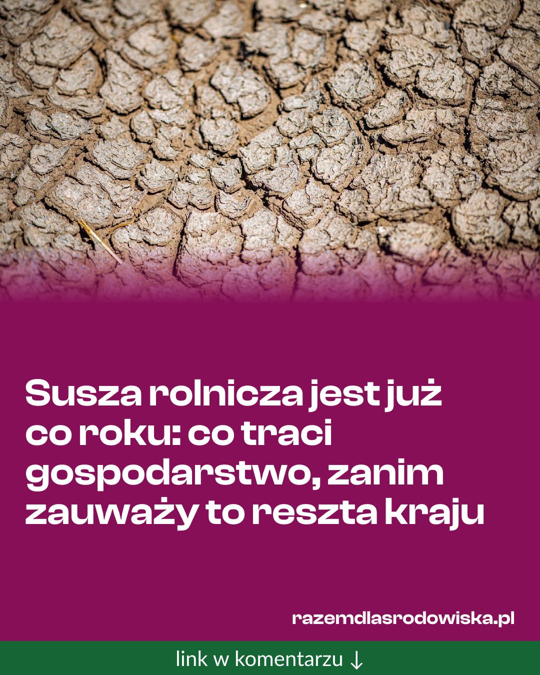 Grafika do udostępnienia: Susza rolnicza jest już co roku: co traci gospodarstwo, zanim zauważy to reszta kraju