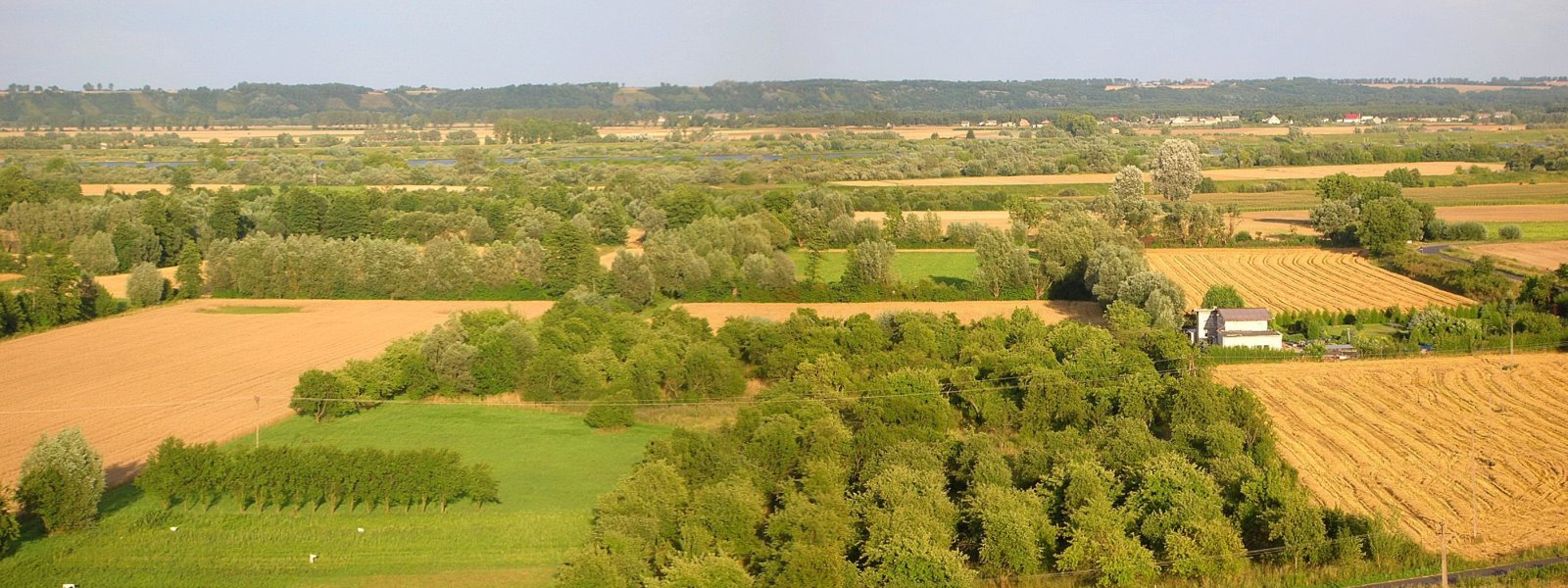 Szeroka, naturalna dolina Wisły widziana z wysokiej skarpy — meandrujące koryto, piaszczyste łachy i zadrzewienia nadrzeczne.