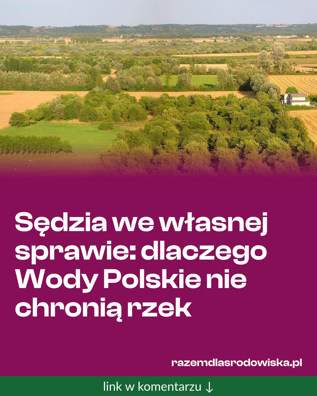 Grafika do udostępnienia: Sędzia we własnej sprawie: dlaczego Wody Polskie nie chronią rzek